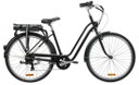 Maspalomas City Electric bike