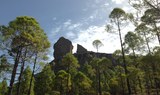 Scenic hike to Roque Nublo Gran Canaria.jpg
