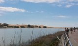 Maspalomas sea lagoon and sand dunes-.jpg