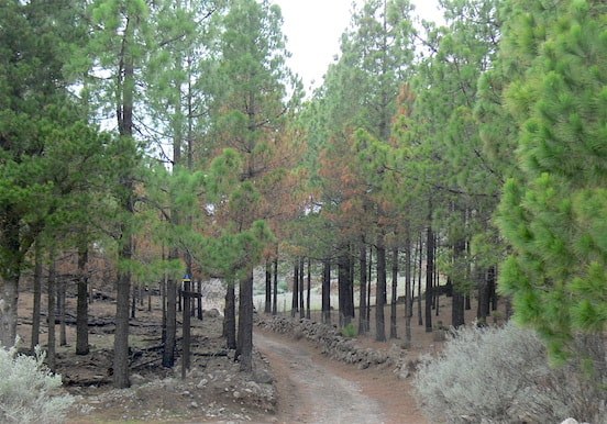 Artenara hiking route.jpg