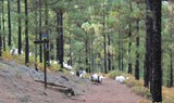 The Artenara hundred valleys hike.jpg