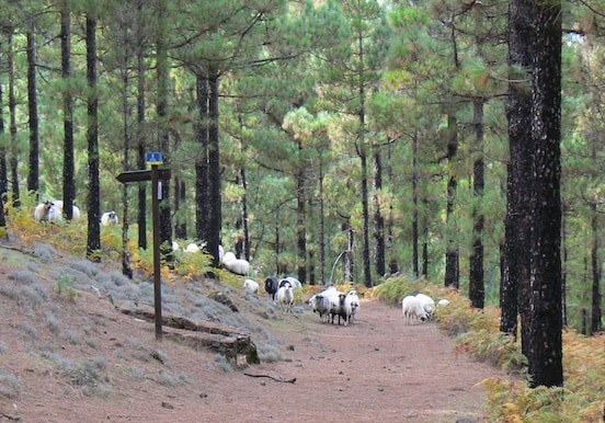 The Artenara hundred valleys hike.jpg