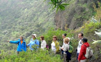 Caldera de Bandama, the volcano and wine route (south departure)