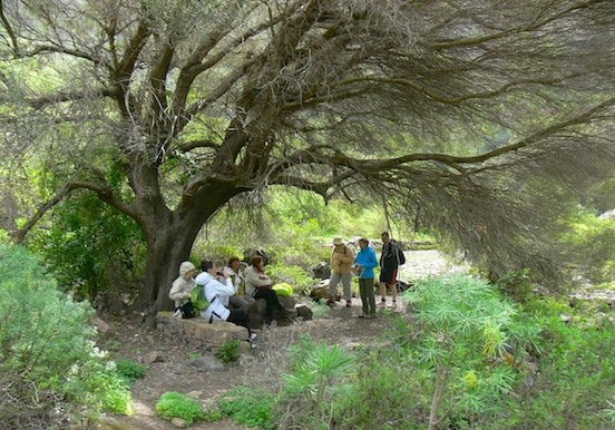 Caldera de Bandama, the volcano and wine route.jpg