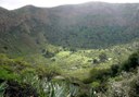 Caldera de Bandama volcan and wine hiking tour.jpg