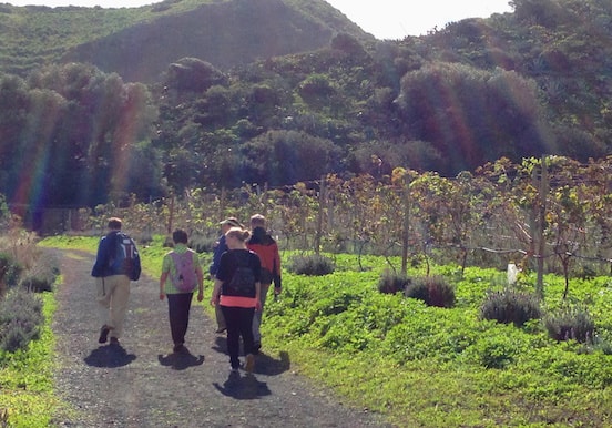 Gran Canaria hiking and wineyard visit.jpg