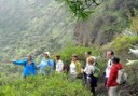 Gran Canaria hiking Bandama volcano and wine route.jpg