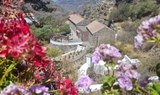 Museum of Medicine Plants Gran Canaria-min.jpg