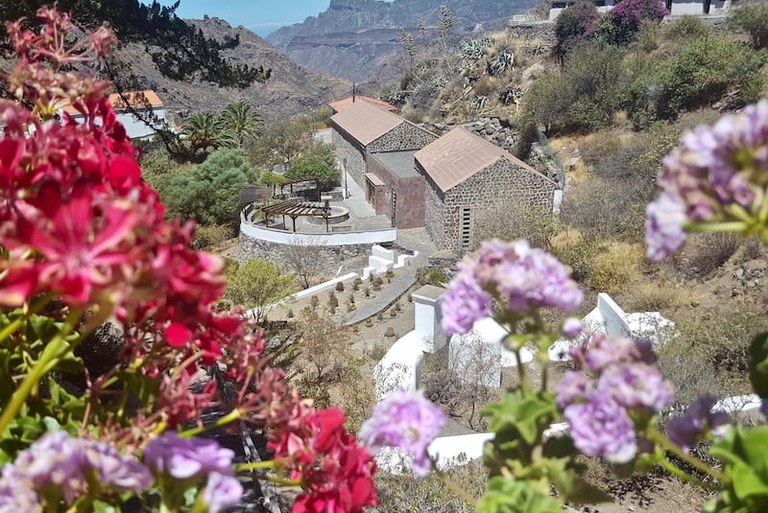 Museum of Medicine Plants Gran Canaria-min.jpg