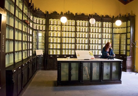Museum of Medicine Plants Tejeda-min.jpg