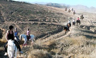 Horse Riding trip near Maspalomas (1 or 2 hours)