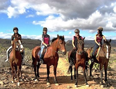 Horse Riding
