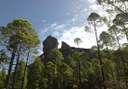 Scenic hike to Roque Nublo Gran Canaria.jpg