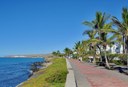ride segway along the pristine Melonera waterfront-min.jpeg