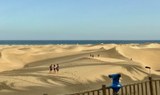 Segway tour to visit Maspalomas dunes-min.jpeg