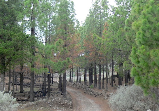 Artenara hiking route.jpg