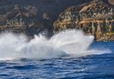 Thrill and splash on jet boat.jpg