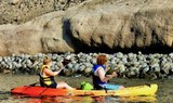Explore Gran Canaria coastline on kayak.jpg