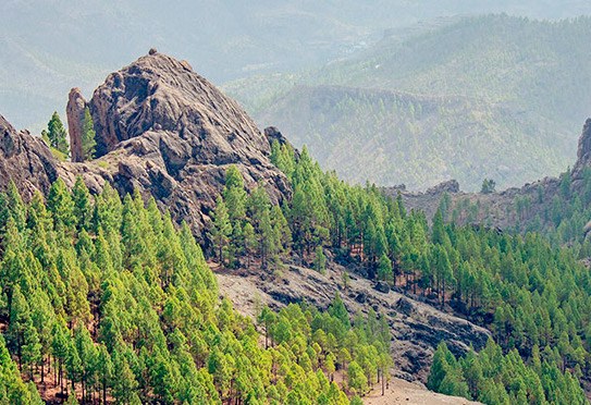 Lush valley of Gran Canaria helicopter.jpg