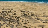 Immense sand dune of Maspalomas.jpg