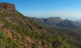Lush valley of Gran Canaria.jpg