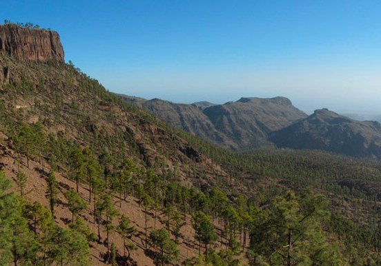 Lush valley of Gran Canaria.jpg