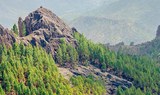 Lush valley of Gran Canaria helicopter.jpg