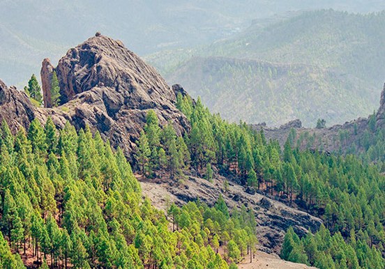 Lush valley of Gran Canaria helicopter.jpg