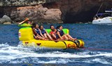 fun crazy shark water sport