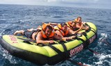 sting ray water sport