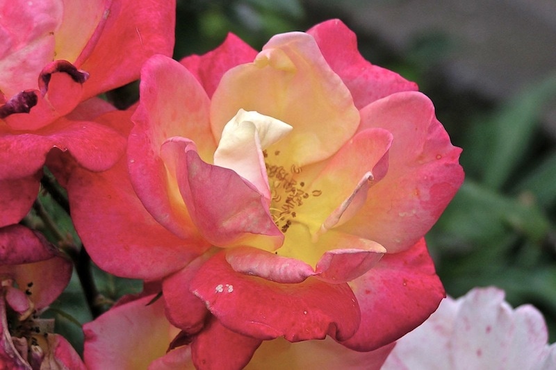 Pb303348-min.jpg