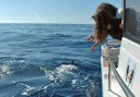 spot a dolphin on private charter boat trip in La Gomera