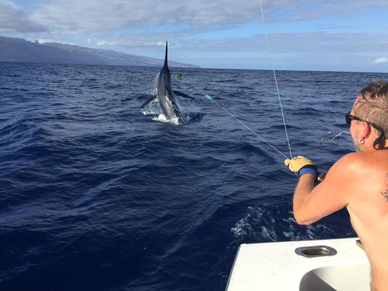 Charter fishing trip in La Gomera.jpg
