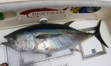 Sea fishing La Gomera.jpg