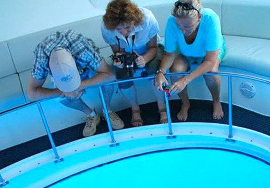 glass bottom viewing inside Fantasy boat in La Palma