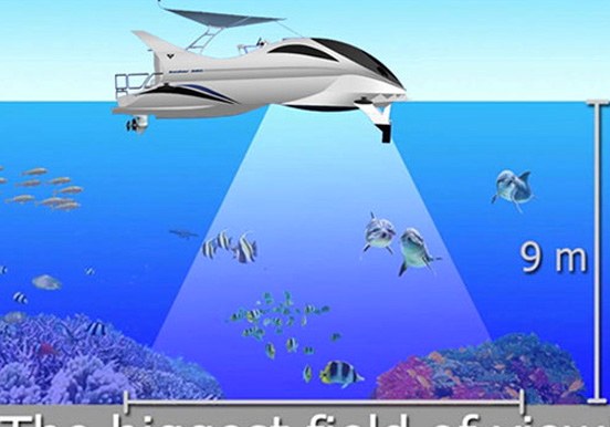 watch marine animals through glass bottom of Fantasy boat