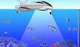 watch marine animals through glass bottom of Fantasy boat