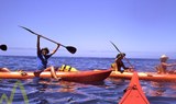 kayak excursion in La Palma