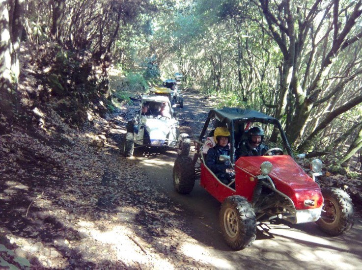 Buggy through the forest of La Palma.jpg