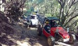 Buggy through the forest of La Palma.jpg