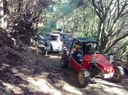 Buggy through the forest of La Palma.jpg