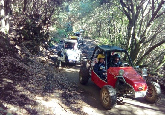 Buggy through the forest of La Palma.jpg