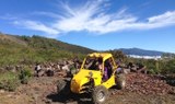 Buggy Tour La Palma.jpg