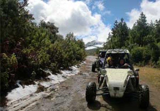 buggy tour in La Palma volcanic route