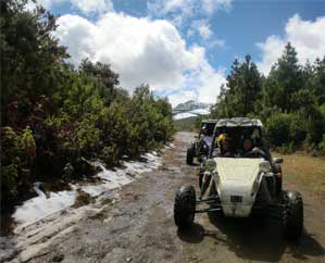 buggy tour in La Palma volcanic route