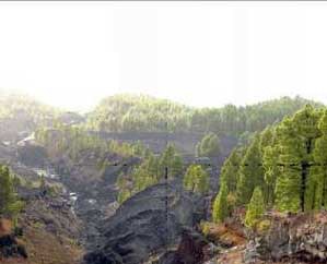 La Palma terrain for buggy tour