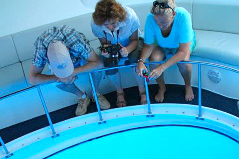 glass bottom viewing inside Fantasy boat in La Palma