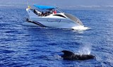 hydrofoil operated and futuristic Fantasy boat