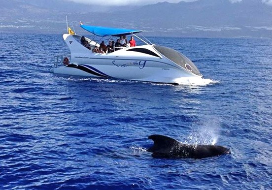 hydrofoil operated and futuristic Fantasy boat