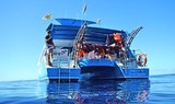 Fancy II catamaran in La Palma